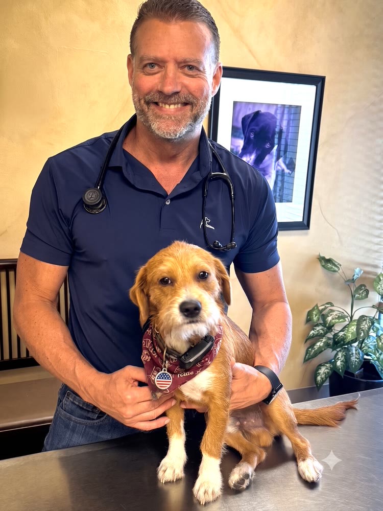 Dr. Steve Pelton in an exam room at Hearthstone Animal Clinic, with Copper the puppy on the table