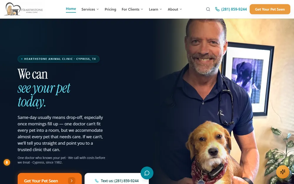 hearthstonevet.com interface preview
